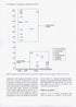 Pelicans, Comorants and their Relatives - The Pelicaniformes - Nelson,B.J. 2006